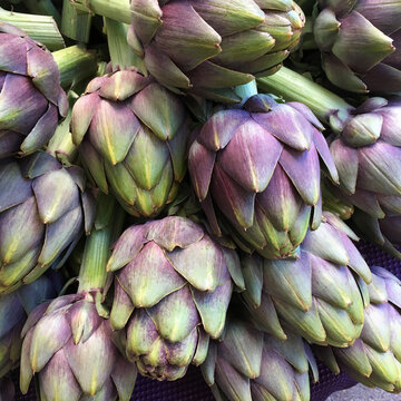 Purple Italian artichokes