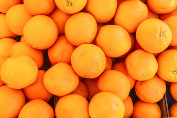 fresh whole oranges on the market