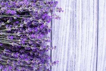Lavender flowers on a gray background. Lavender background