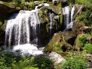 Obraz premium Wasserfall Schwarzwald