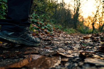 Autunno, passeggiata, running, outdoor, corsa, scarpa