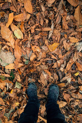 Autunno, passeggiata, running, outdoor, corsa, scarpa