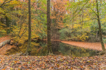 Elfringhauser Schweiz
