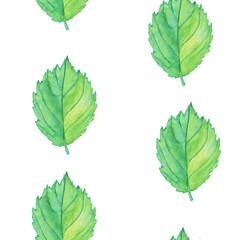 Seamless pattern of green alder or birch leaves on white background. Watercolor hand drawn illustration. Perfect for digital paper, print, textile, fabric, foliage texture.