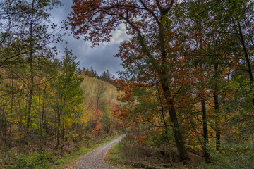 Elfringhauser Schweiz