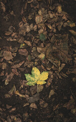 Lake District and beyond