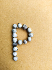 Seeds of Job's tears, scientific name Coix lacryma-jobi, arranged in a 