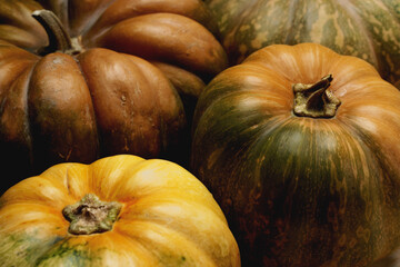 Toned autumn background with pile of pumpkins