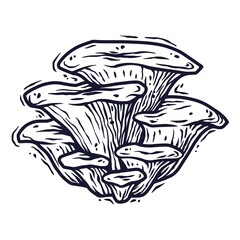 Monochrome element of oyster. Seasonal autumn vector illustration of mushroom for any kinds of design or vegan menu