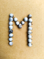 Seeds of Job's tears, scientific name Coix lacryma-jobi, arranged in a 