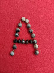 Seeds of Job's tears, scientific name Coix lacryma-jobi, arranged in a 