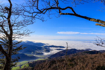 Sea of fog in the Rhine valley seen from the Thomashütte (Thomas refuge), Black Forest, Germany