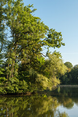 Fototapeta na wymiar Hochformat: Ufer-Landschaft an einem Gewässer mit Spiegelung von grünen Bäumen und Hecken im Wasser