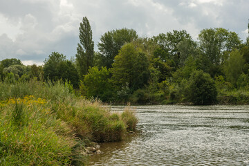 Eine Fluss-Landschaft / Ufer-Landschaft im Sommer, dicht bewachsen mit Bäumen und Hecken im Hintergrund