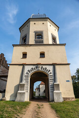 Fototapeta na wymiar entrance gate in the castle tower