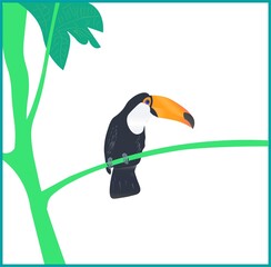 Illustration of a Funny and Cute Toco Toucan in Natural Habitat. South America.
