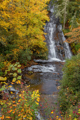Fototapeta na wymiar Carson Creek Falls in Autumn in North Carolina