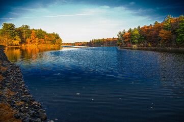 Obraz premium autumn in the park