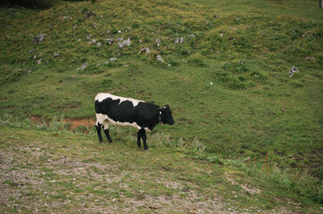 Hiking in Dachstein mountains (Dachsteingebirge