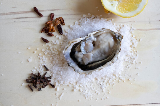 Ostras del Delta del Ebro. Ostra abierta. Ostra francesa. Ostra sobre sal gorda con especias y lim&oacute;n.