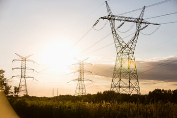 Electric power lines during summer