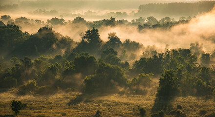 Aerial view Sunrise of meadow with forest in sunlight and mist