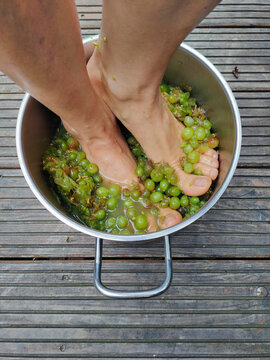 Juicing grapes with feet