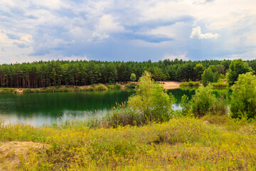 View of a beautiful lake in a pine forest at summer