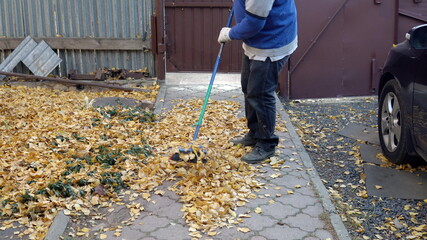 A man is sweeping a path from fallen leaves in his yard. Autumn in the Russian yard