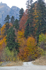 autumn in the mountains