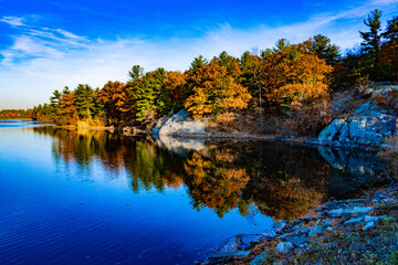 Birch Pond in the fall