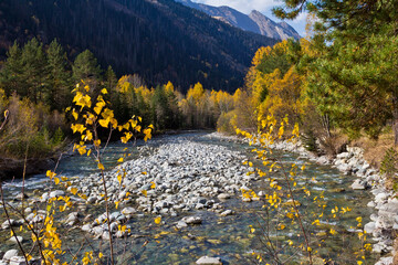 autumn in the mountains