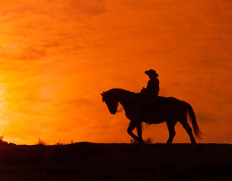 horse and rider cowboy silhouette at sunset western rider in western tack against red orange sky