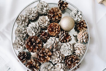 Close up of ornamental strobiles on a plate