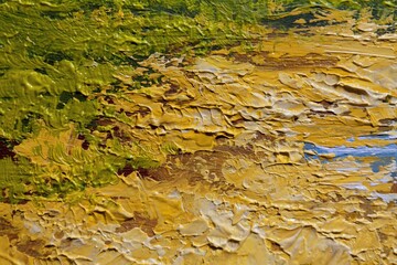 Oil paintings  landscape, fine art, yellow lichen on the rock