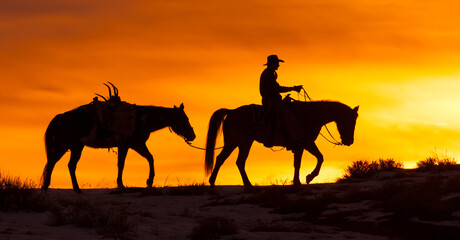 horse and rider cowboy silhouette at sunset western rider in western tack against red orange sky