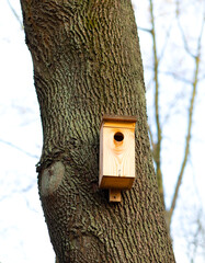 Wooden bird house on a tree in autumn day