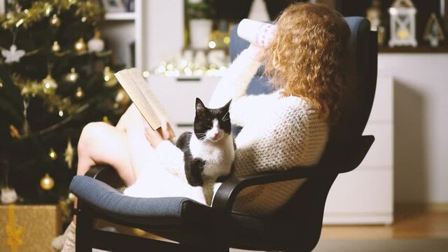 cozy Christmas time at home woman with cat reading a book hygge