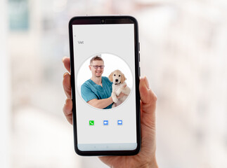 Video chat on smartphone with veterinarian