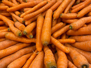 A lot of orange carrot at the market, spring food vegetable carrot. Texture background of fresh large orange carrots. Product Image Vegetable Root Carrot