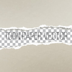 Realistic torn paper edge with shadow vector template. ripped broken piece of color carton page with empty area for your text. Mockup for banner, leaflet, cover, poster design. 