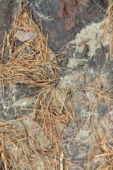 Natural rock or Stone surface as background texture