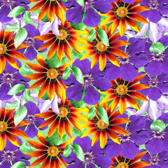 Beautiful floral background of clematis and gazania. Isolated