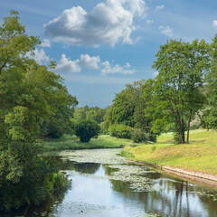 view of a sunny lawn on the bank of a river among lush vegetation in a country park in the suburbs of St. Petersburg, Russia
