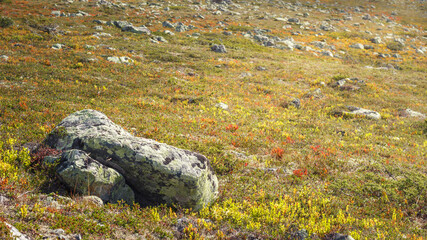 Stones on top of Vastervalen in the colors of summer, Sweden