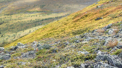 Stones on top of Vastervalen in the colors of summer, Sweden