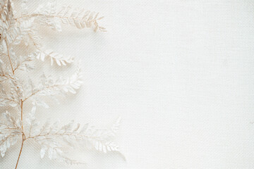 snowy white twigs with small leaves are located on a light background. dried flowers. Flat lay. Top view. copy space . 