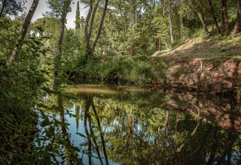 Petite rivière en été