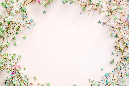 small multi-colored flowers with baby's breath arranged in a circle shape of the wreath . flat lay. top view. copy space. special focus. close up.