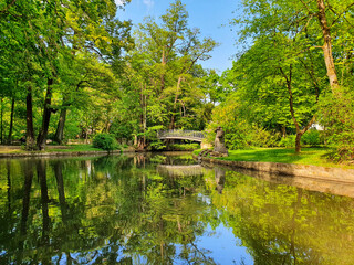 Brücke führt zur Büste eines Pferdes auf einer kleinen Insel bei Tag. Grüne kräftige Farben mit Reflexion im Wasser. Hofgarten Bayreuth, Sommer 2020. 